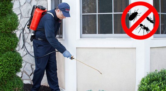 Polatlı Böcek ve Haşere İlaçlama böcek ilaçlama ve haşere kontrolü — ilaclama-tr.com